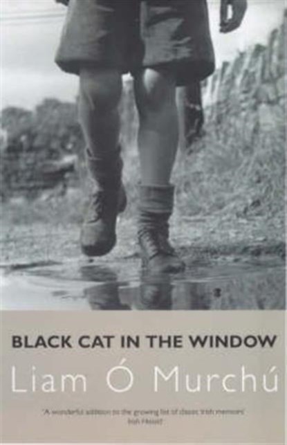 Black Cat in the Window, Liam O Murchu - Paperback - 9780413753908