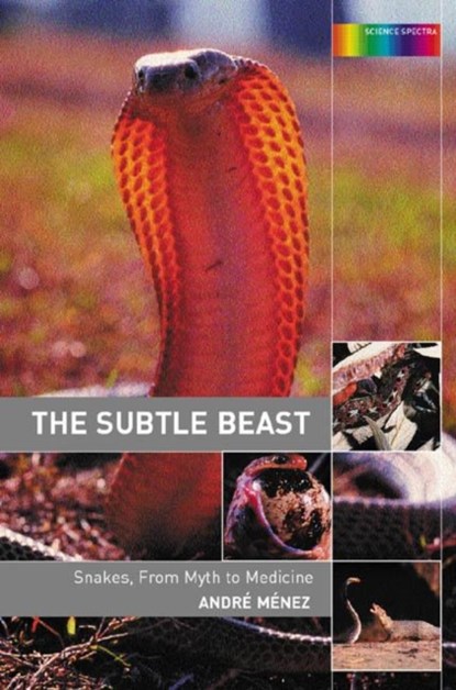 The Subtle Beast, Andre Menez - Paperback - 9780415284981