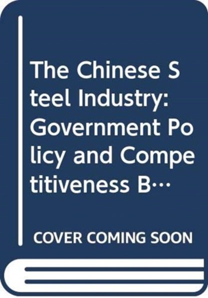 The Chinese Steel Industry, PEI (NOTTINGHAM UNIVERSITY BUSINESS SCHOOL,  UK) Sun - Gebonden - 9780415418775