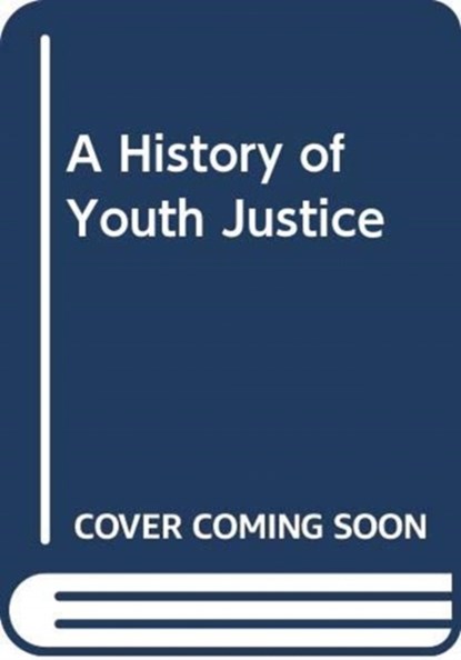 A History of Youth Justice, Neal (University of Salford Hazel ; Tim (University of Bedfordshire Bateman - Gebonden - 9780415504942