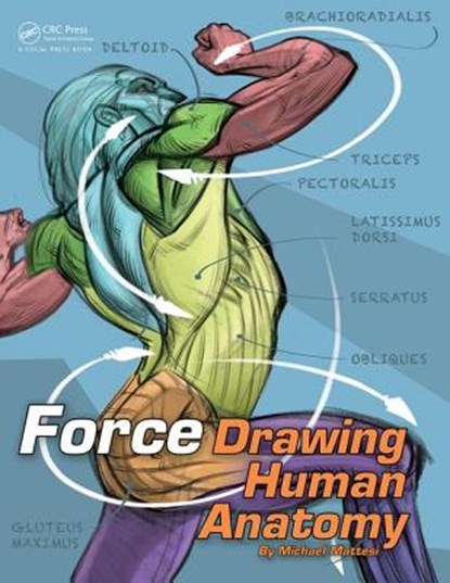 FORCE: Drawing Human Anatomy, Mike Mattesi - Paperback - 9780415733977