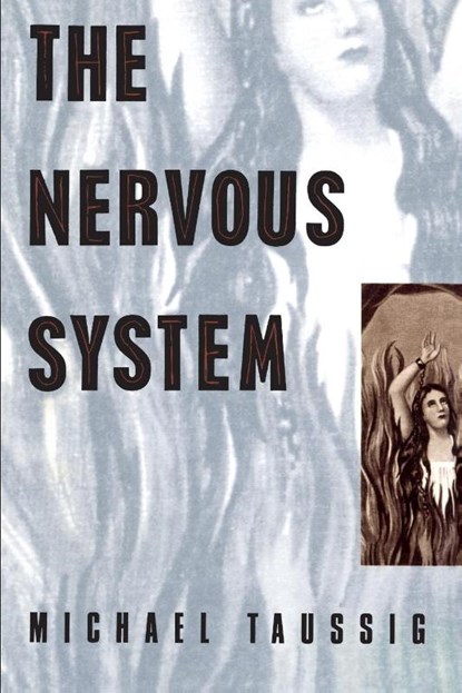 The Nervous System, Michael Taussig - Paperback - 9780415904452