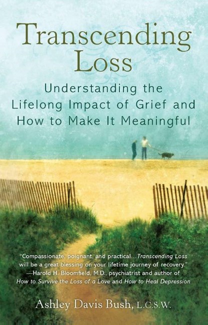 Transcending Loss, Ashley Davis Bush - Paperback - 9780425157756