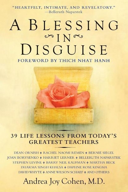 A Blessing in Disguise, Andrea Joy Cohen - Paperback - 9780425219669
