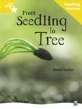 Rigby Star Non-fiction Guided Reading Yellow Level: From Seedling to Tree Teaching Version | auteur onbekend | 