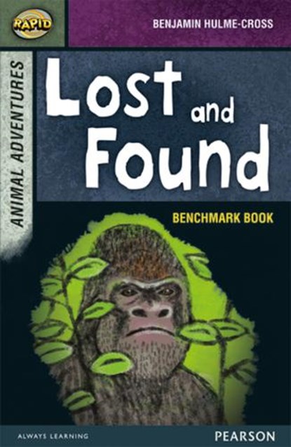 Rapid Stage 7 Assessment book: Lost and Found, Dee Reid ; Benjamin Hulme-Cross - Paperback - 9780435152291