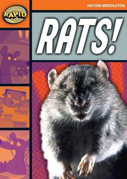 Rapid Reading: Rats! (Stage 4, Level 4B), Haydn Middleton - Paperback - 9780435908171
