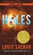 Holes, Louis Sachar - Paperback - 9780440228592