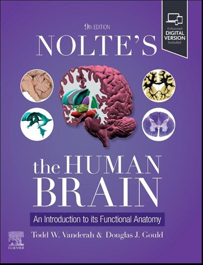 Nolte's The Human Brain, Todd W. Vanderah ; Douglas J. (Distinguished Professor and Chair Gould - Paperback - 9780443126864