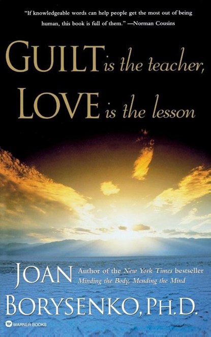 Guilt is the Teacher, Love is the Lesson, Joan Borysenko - Paperback - 9780446392242