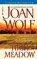 High Meadow, WOLF,  Joan - Paperback - 9780446610438