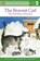 The Bravest Cat!, Laura Driscoll - Paperback - 9780448417035