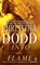 Into the Flame, Christina Dodd - Paperback - 9780451224668