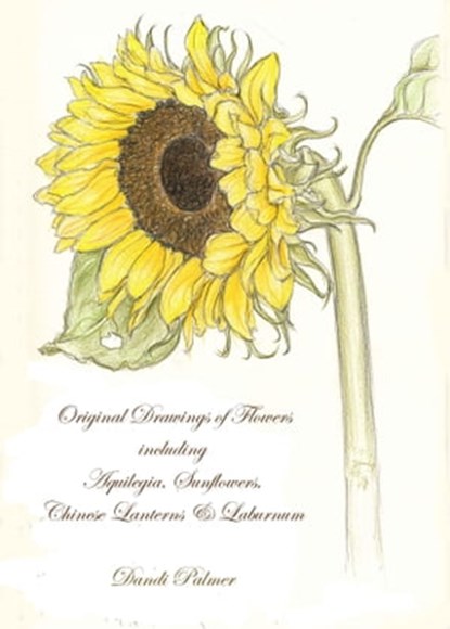 Original Drawings of Flowers Including Aquilegia, Sunflowers, Chinese Lanterns and Laburnum, Dandi Palmer - Ebook - 9780463002773