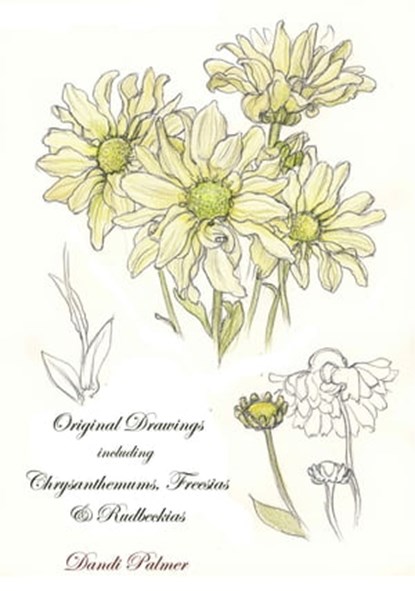 Original Drawings Including Chrysanthemums, Freesias and Rudbeckias, Dandi Palmer - Ebook - 9780463083161