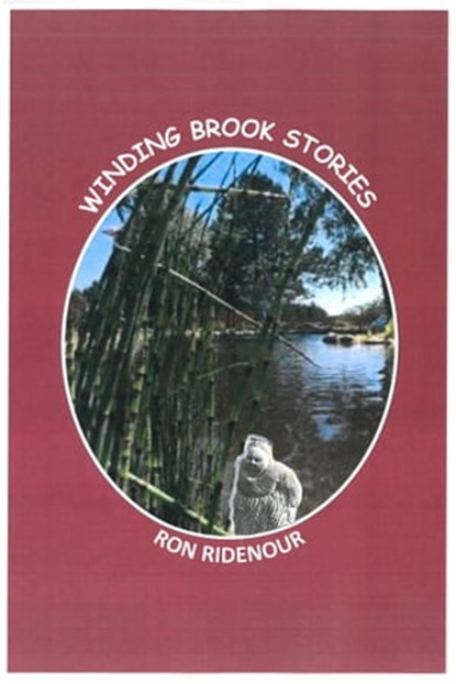 Winding Brook Stories, Ron Ridenour - Ebook - 9780463117224