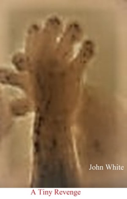 A Tiny Revenge, John White - Ebook - 9780463485262