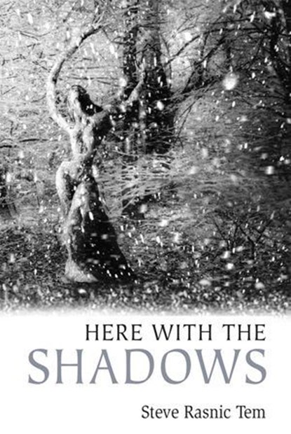 Here with the Shadows, Steve Rasnic Tem - Ebook - 9780463566602