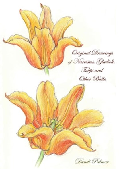 Original Drawings of Narcissus, Gladioli, Tulips and Other Bulbs, Dandi Palmer - Ebook - 9780463595190