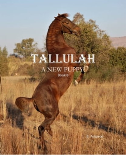 Tallulah: A New Puppy!, B. Potgieter - Ebook - 9780463697887