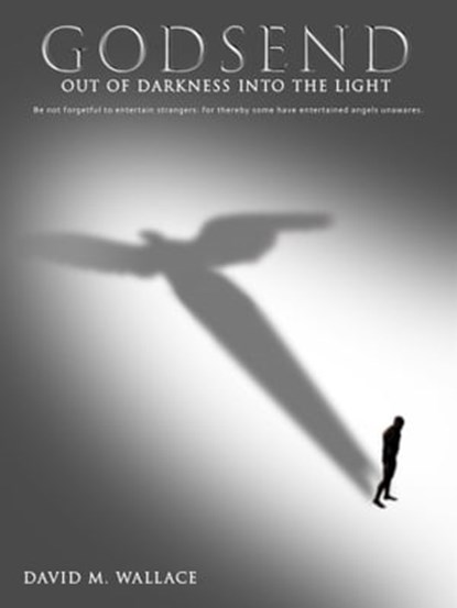 GodSend: Out of Darkness Into the Light, David M. Wallace - Ebook - 9780463848319