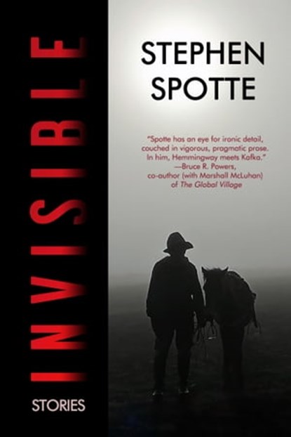 Invisible: Stories, Stephen Spotte - Ebook - 9780463873274