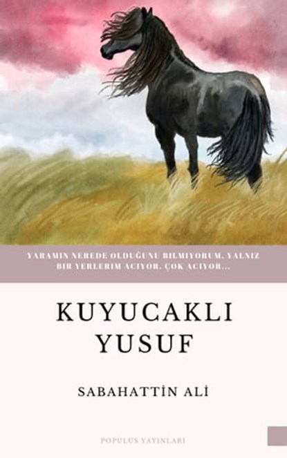 Kuyucaklı Yusuf, Sabahattin Ali - Ebook - 9780463884539