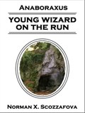 Young Wizard on the Run