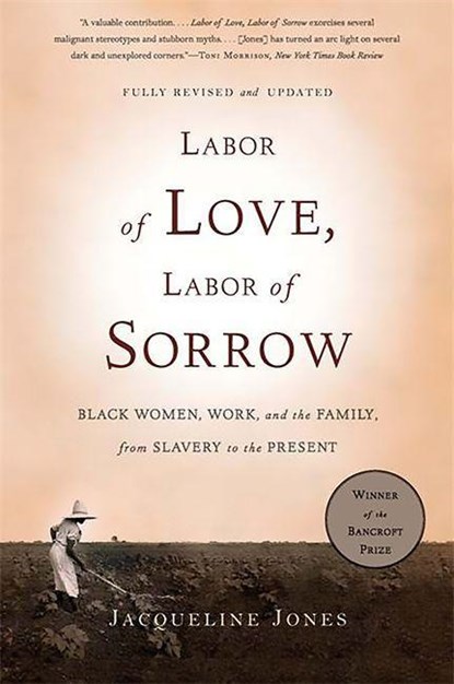 Labor of Love, Labor of Sorrow, Jacqueline Jones - Paperback - 9780465018819