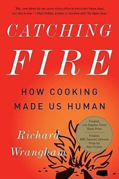 CATCHING FIRE, Richard Wrangham - Paperback - 9780465020416
