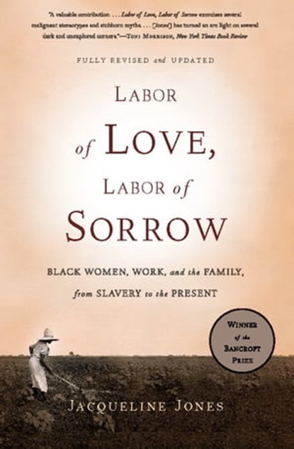 Labor of Love, Labor of Sorrow, Jacqueline Jones - Ebook - 9780465021109