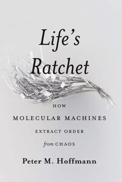 Life's Ratchet, Peter M Hoffmann - Ebook - 9780465033362