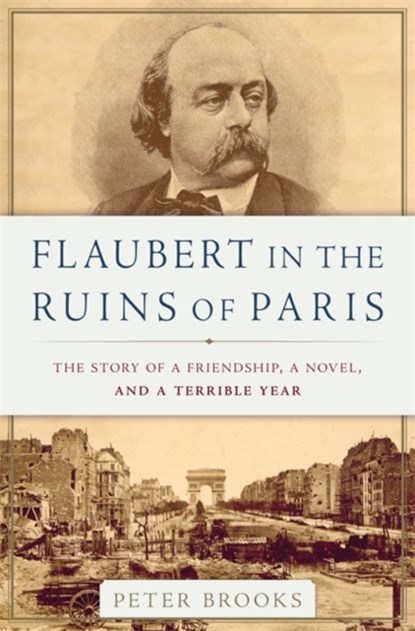 Flaubert in the Ruins of Paris, Peter Brooks - Gebonden - 9780465096022