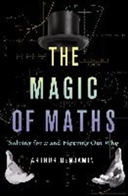 The Magic of Maths (INTL PB ED), Arthur Benjamin - Paperback - 9780465098743