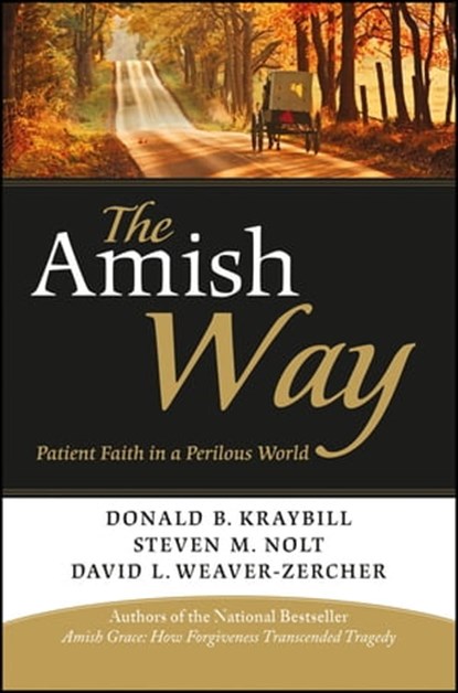 The Amish Way, Donald B. Kraybill ; Steven M. Nolt ; David L. Weaver-Zercher - Ebook - 9780470890882