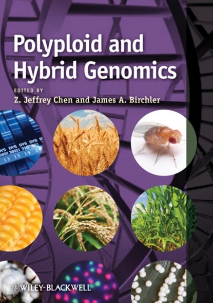 Polyploid and Hybrid Genomics, Z. Jeffrey Chen ; James A. Birchler - Gebonden - 9780470960370