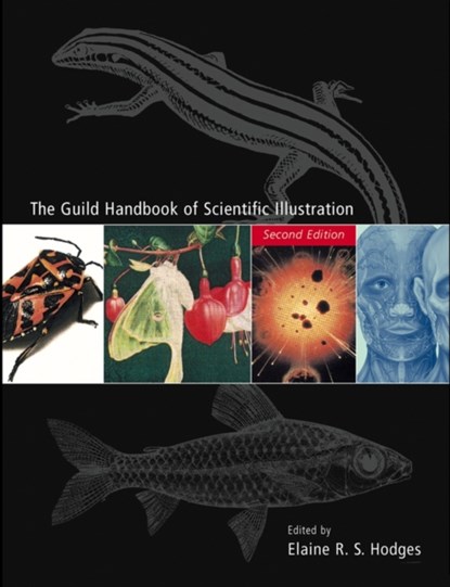 The Guild Handbook of Scientific Illustration, Elaine R. S. (Department of Entomology at the Smithsonian Institution's National Museum of Natural History) Hodges - Gebonden - 9780471360117
