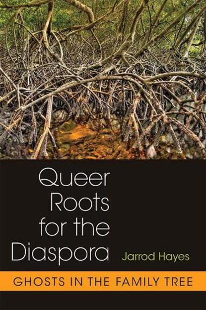 Queer Roots for the Diaspora, Jarrod Hayes - Paperback - 9780472053162