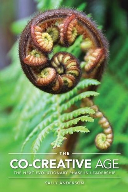The Co-Creative Age, Sally Anderson - Paperback - 9780473694111