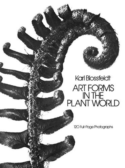 Art Forms in the Plant World, Karl Blossfeldt - Paperback - 9780486249902
