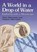 Silverstein'S World in a Drop, Alvin Silverstein - Paperback - 9780486403816