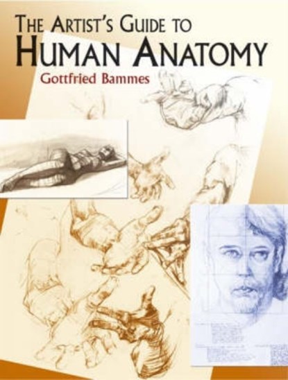 The Artist's Guide to Human Anatomy, Gottfried Bammes - Paperback - 9780486436418