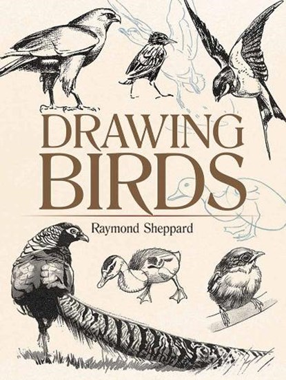 Drawing Birds, Raymond Sheppard - Paperback - 9780486820323