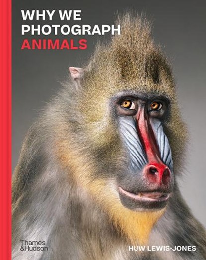 Why We Photograph Animals, Huw Lewis-Jones - Gebonden - 9780500022726