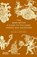 The Maya Myths, Mallory Matsumoto - Gebonden - 9780500026540