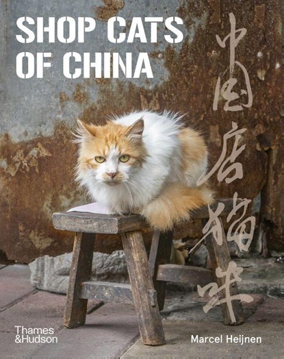 Shop Cats of China, Marcel Heijnen - Paperback - 9780500296110
