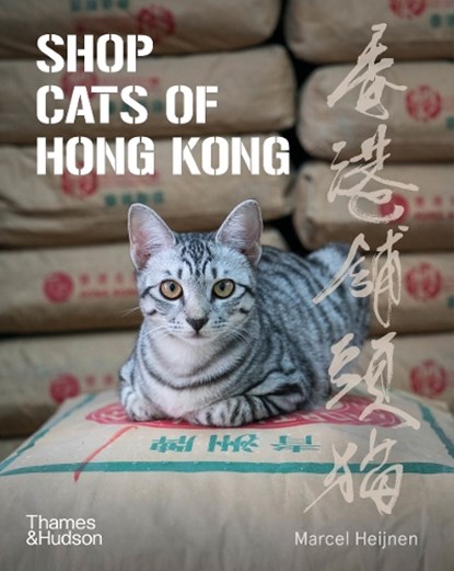 Shop Cats of Hong Kong, Marcel Heijnen - Paperback - 9780500296233