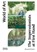 The Impressionists at First Hand, Bernard Denvir - Paperback - 9780500297322