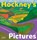 Hockney's Pictures, David Hockney - Paperback - 9780500297407