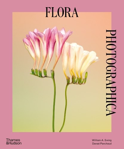 Flora Photographica, William A. Ewing ; Danaé Panchaud - Paperback - 9780500297551